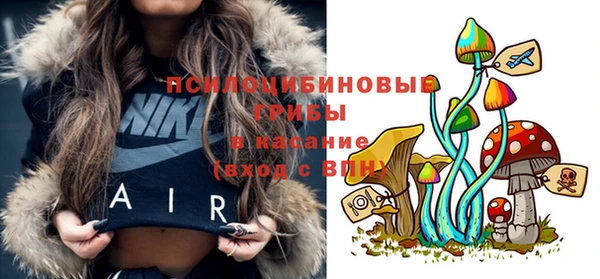 ALPHA PVP Верея