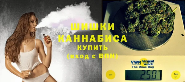 ешки Верхний Тагил
