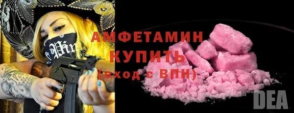 прущие крисы Рославль