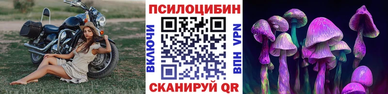 MEGA сайт  Ачхой-Мартан  Псилоцибиновые грибы мицелий 