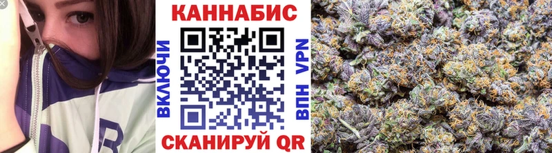 где купить   Ачхой-Мартан  Шишки марихуана Bruce Banner 